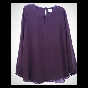 CAbi long sleeved blouse